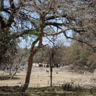 TweedyRanch (30)